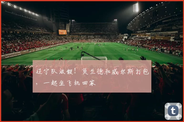 辽宁队放假！莫兰德和威尔斯打包，一起坐飞机回家
